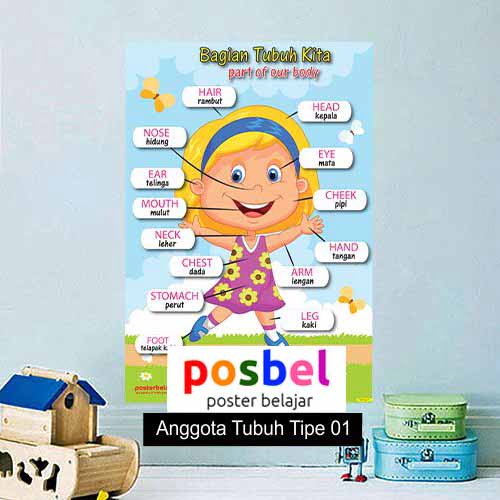 Anggota Tubuh Tipe 1 poster belajar mainan anak edukatif edukasi bahasa inggris alat peraga