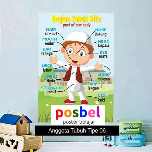 Anggota Tubuh Tipe 6 poster belajar mainan anak edukatif edukasi bahasa inggris alat peraga