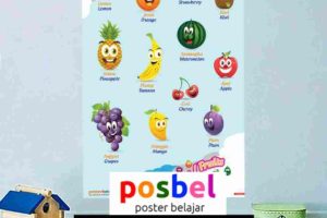 Belajar Asik Dengan Poster Buah Dalam Bahasa Inggris, HP/WA : 0812-8490-8806. Belajar Seru No Boring