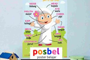 Tujuan Poster Pendidikan, HP/WA : 0812-8490-8806. Sedia Poster Murah